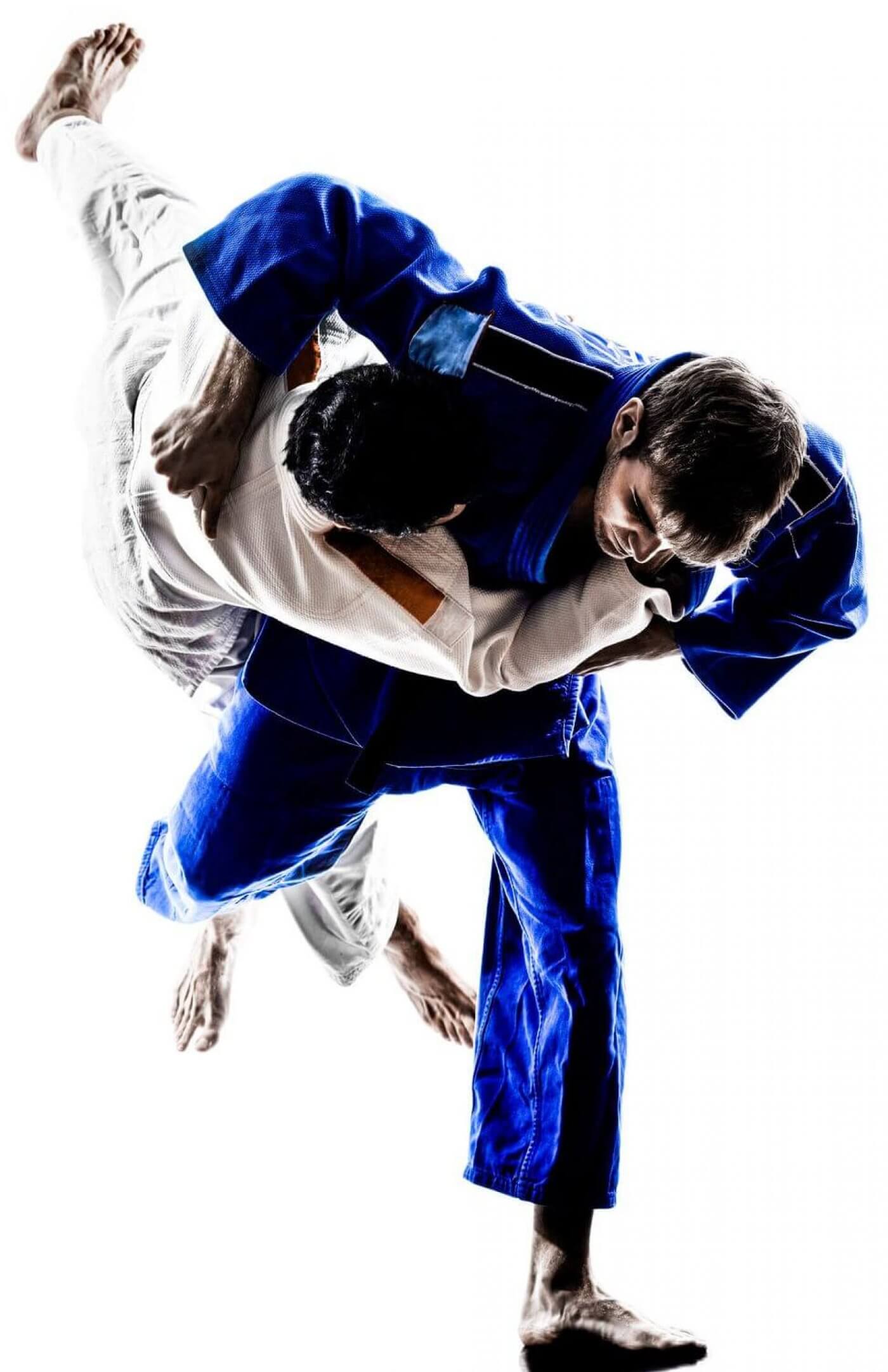 new judo throws